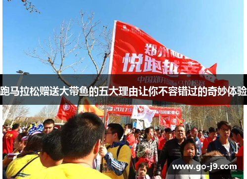 跑马拉松赠送大带鱼的五大理由让你不容错过的奇妙体验