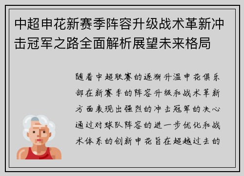 中超申花新赛季阵容升级战术革新冲击冠军之路全面解析展望未来格局 中超申花新赛季阵容升级战术革新冲击冠军之路全面解析展望未来格局